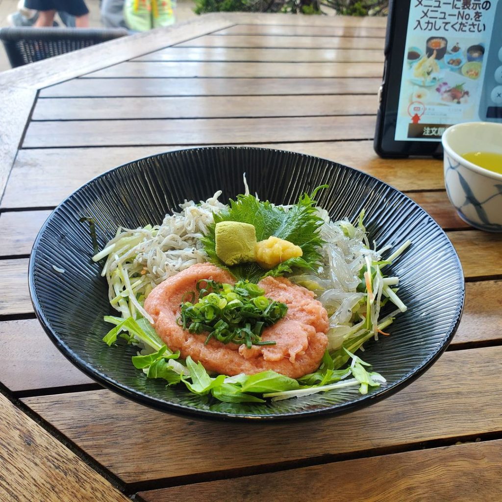 【バイクツーリング】休日は江ノ島でしらす丼と海風を満喫！